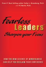 Fearless Leaders Sharpen your Focus Book Cover